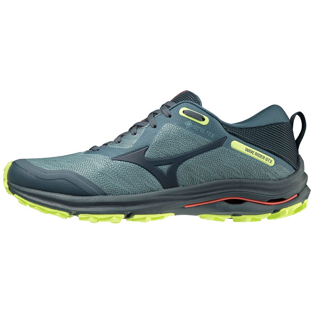 Pantofi Alergare Trail Mizuno Wave Rider Gtx Barbati | ZMIKJW258